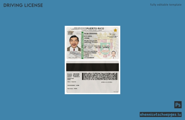 Beispiel für einen Führerschein aus Puerto Rico